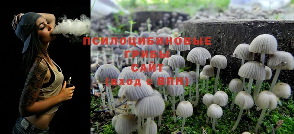 PSILOCYBIN Бронницы