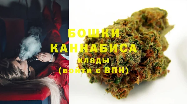 PSILOCYBIN Бронницы