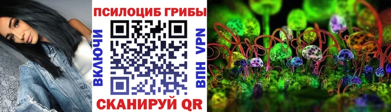 Псилоцибиновые грибы мухоморы  наркошоп  Южно-Сахалинск 